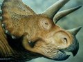 c_1233291374639_Triceratops_by_adventurevisual.jpg